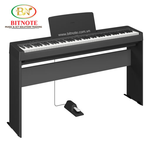 Đàn Piano Điện Yamaha P-143 Đàn Piano Điện Yamaha P-143