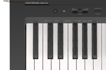 Đàn Piano Điện Yamaha P-143