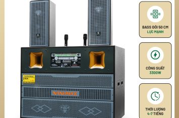 Loa Kéo Bình & Điện Nanomax Pro-666A Bass Đôi 50cm 3300w