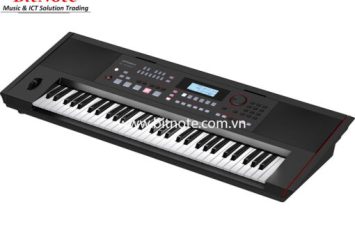 Organ Roland E-X50
