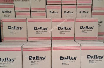 Trống Đội Tiểu Học Dallas
